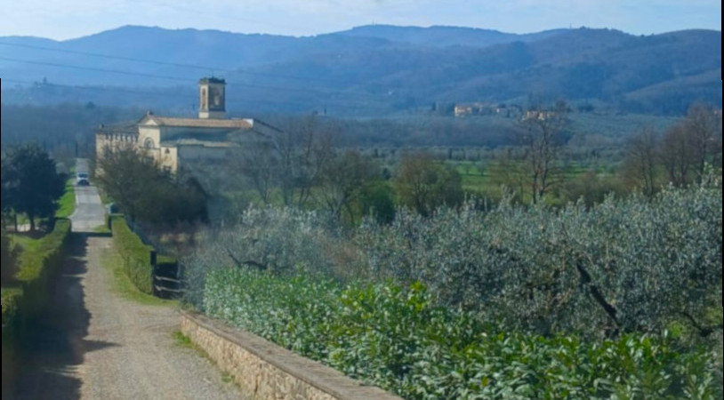 Il Palagio